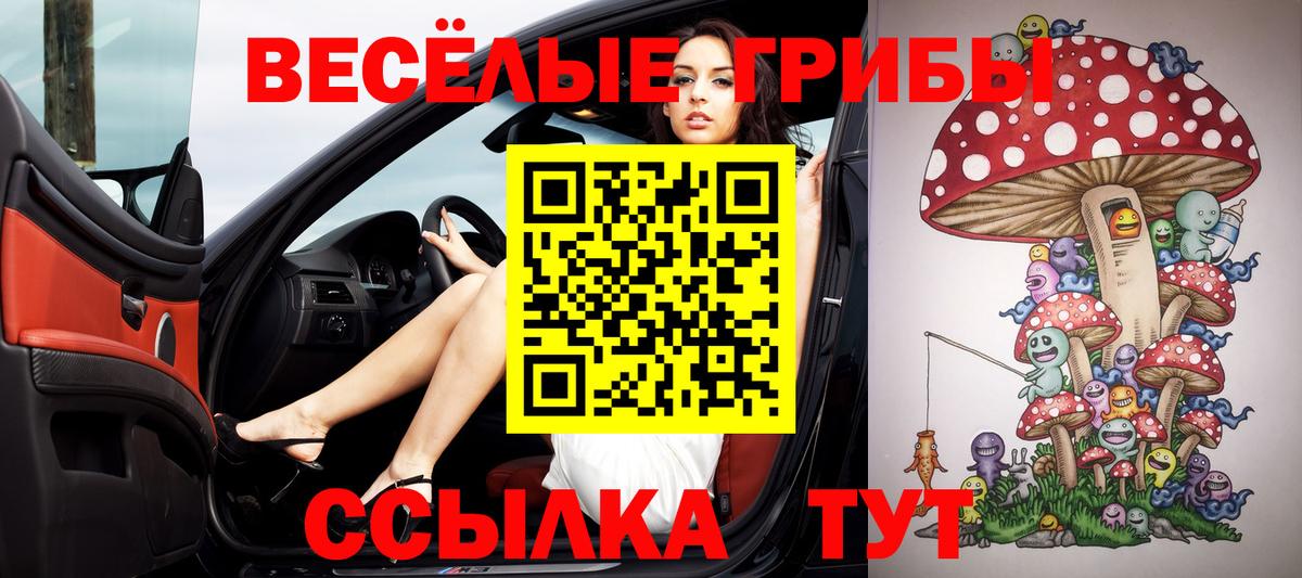 Старый Оскол  Галлюциногенные грибы прущие грибы  Псилоцибиновые грибы мухоморы  Вход с VPN 